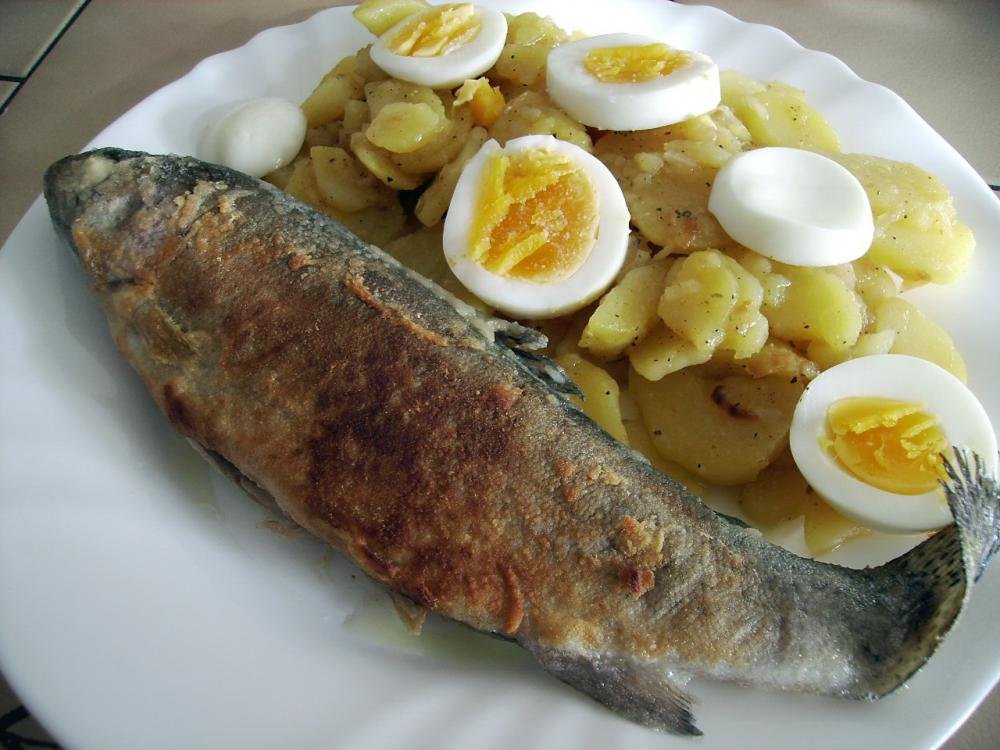 Forelle Muellerin-groß.jpg