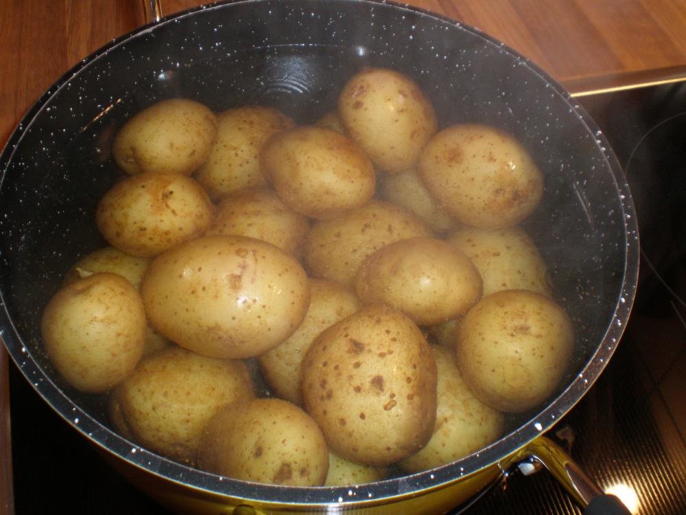 kartoffels1.jpg