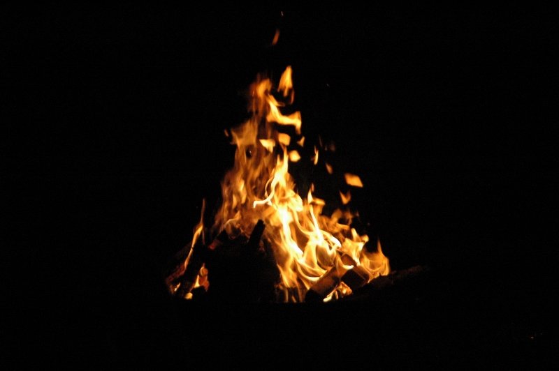 DSC_2863 (800x532).jpg
