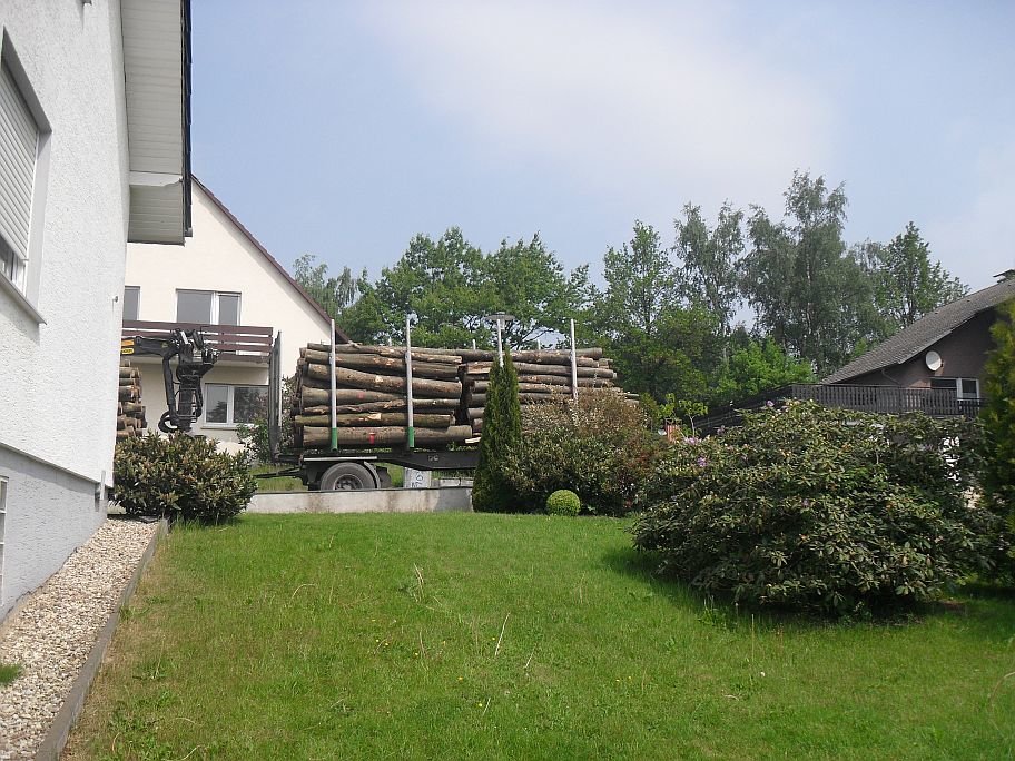 SDC11313.JPG