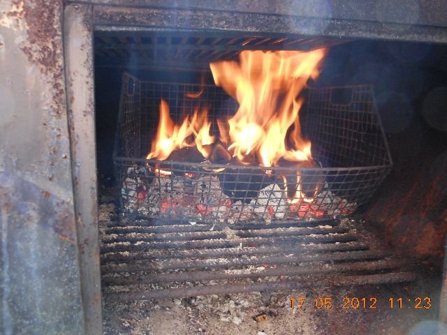 DSCN0196.jpg