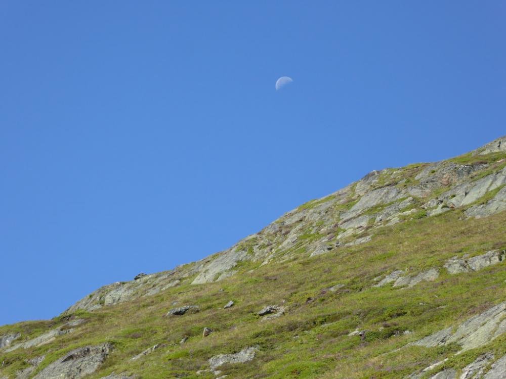 Bergattacke_Oetztal_2016-08_027.jpg Bergattacke_Oetztal_2016-08_027.jpg