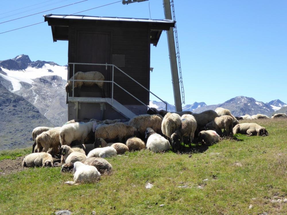 Bergattacke_Oetztal_2016-08_048.jpg Bergattacke_Oetztal_2016-08_048.jpg