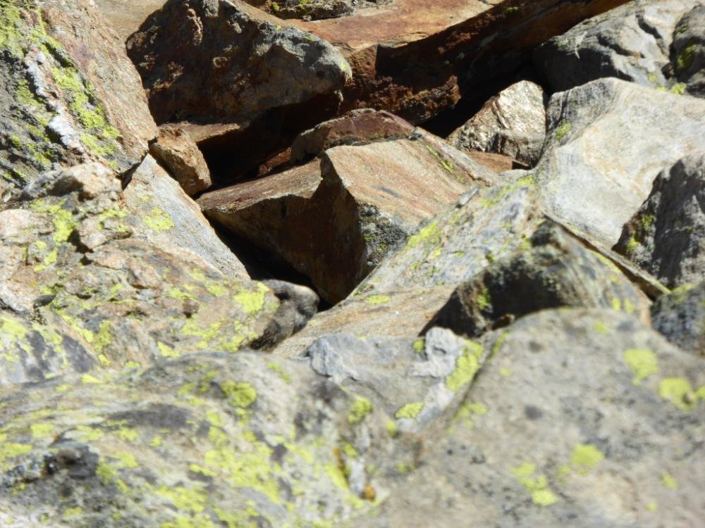 Bergattacke_Oetztal_2016-08_707.jpg Bergattacke_Oetztal_2016-08_707.jpg