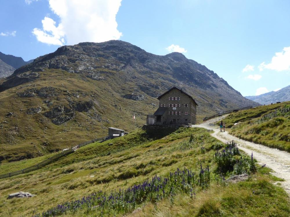 Bergattacke_Oetztal_2016-08_735.jpg Bergattacke_Oetztal_2016-08_735.jpg