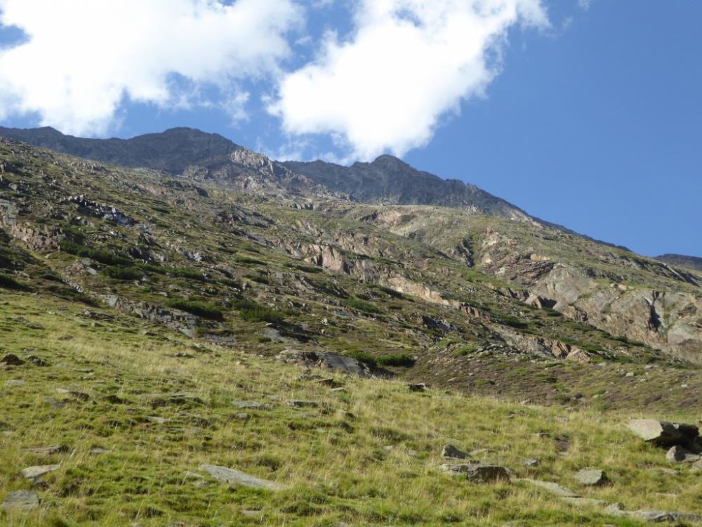 Bergattacke_Oetztal_2016-08_747.jpg Bergattacke_Oetztal_2016-08_747.jpg