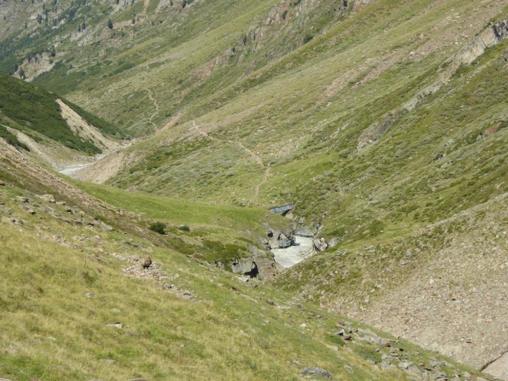 Bergattacke_Oetztal_2016-08_751.jpg Bergattacke_Oetztal_2016-08_751.jpg