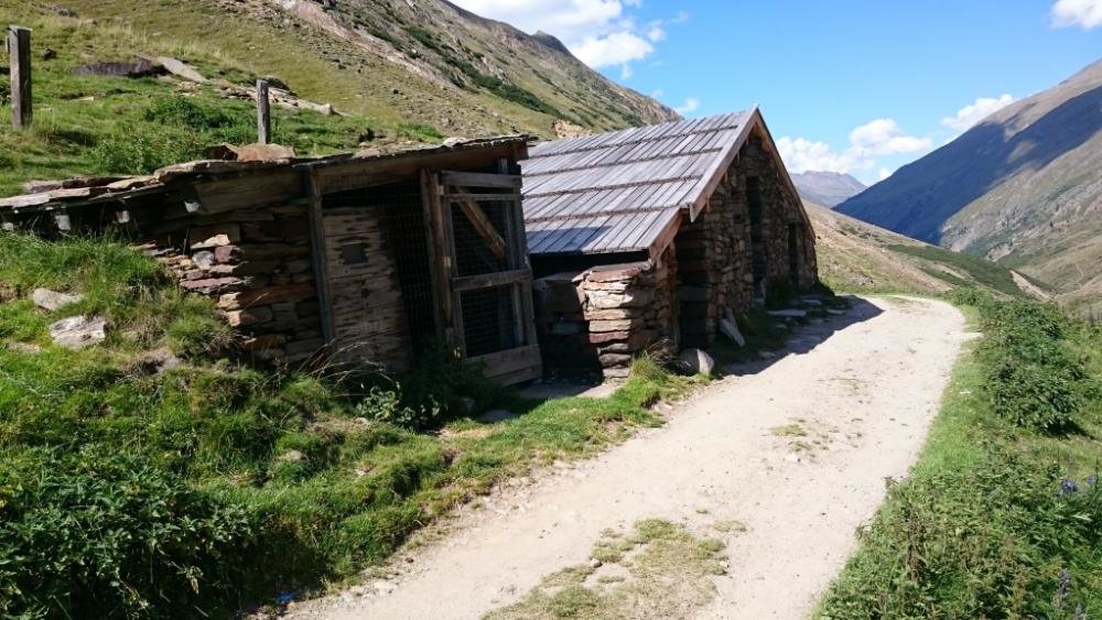 Bergattacke_Oetztal_2016-08_752.jpg Bergattacke_Oetztal_2016-08_752.jpg