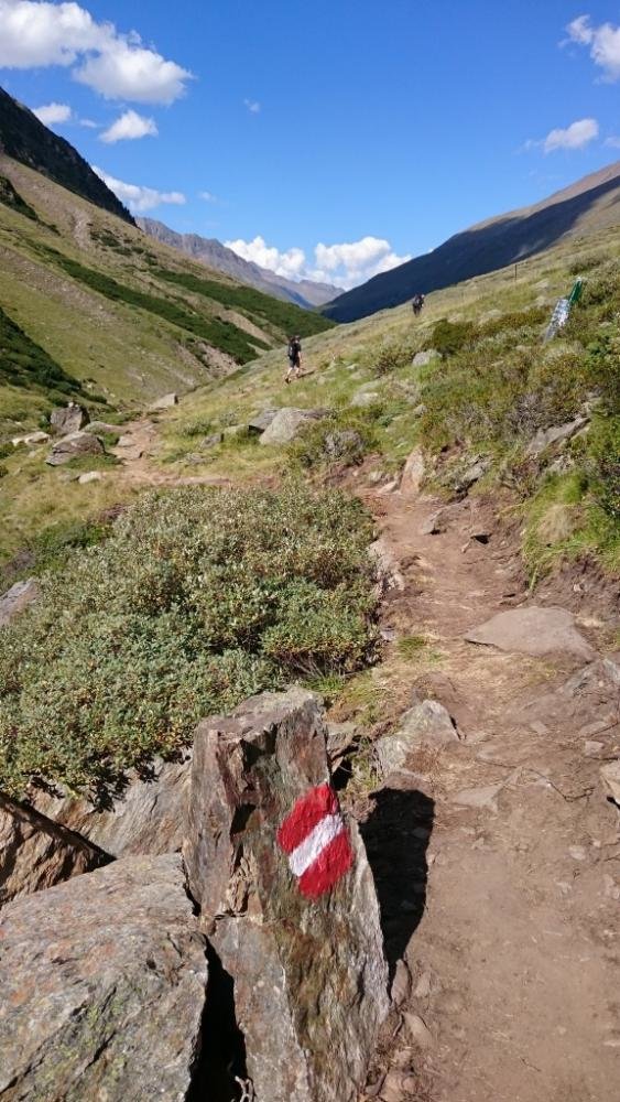 Bergattacke_Oetztal_2016-08_774.jpg Bergattacke_Oetztal_2016-08_774.jpg