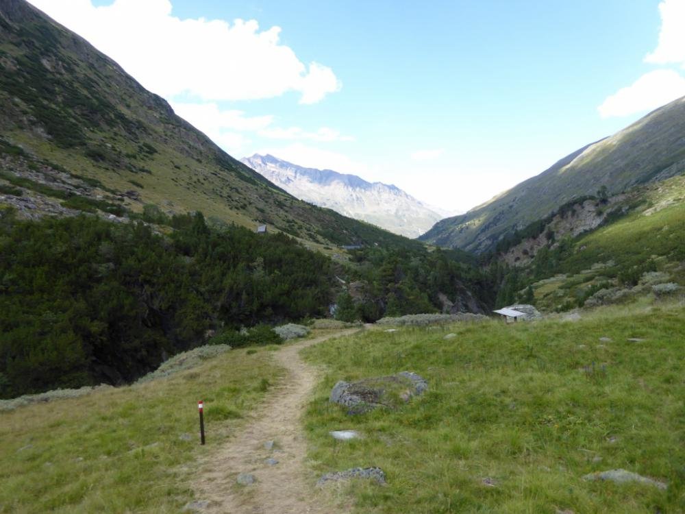 Bergattacke_Oetztal_2016-08_786.jpg Bergattacke_Oetztal_2016-08_786.jpg
