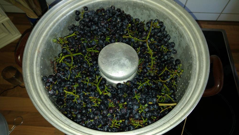 20160918_170609.jpg