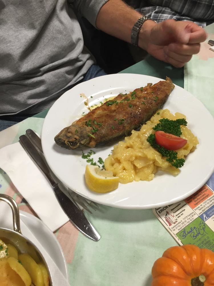 2016-10-15 19.45.19.jpg