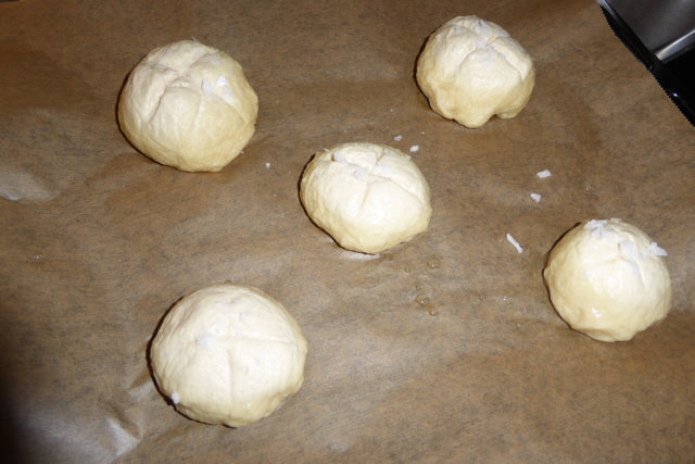 Burger_Schneckenhäuser_2016-11-05_012.jpg