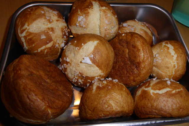 Burger_Schneckenhäuser_2016-11-05_020.jpg