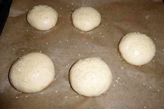 Burger_Schneckenhäuser_2016-11-05_023.jpg