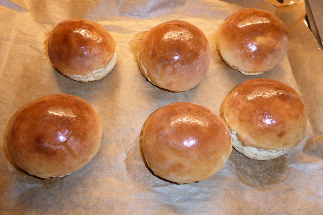 Burger_Schneckenhäuser_2016-11-05_024.jpg