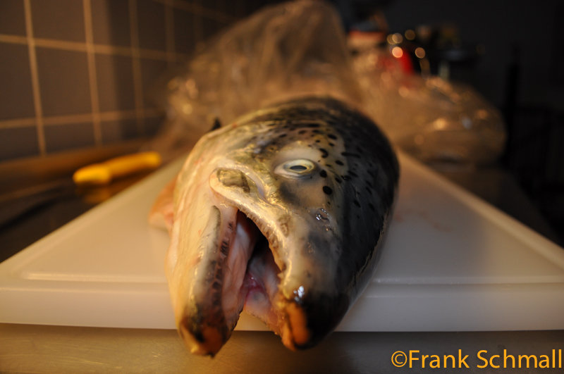 DSC_3506.jpg