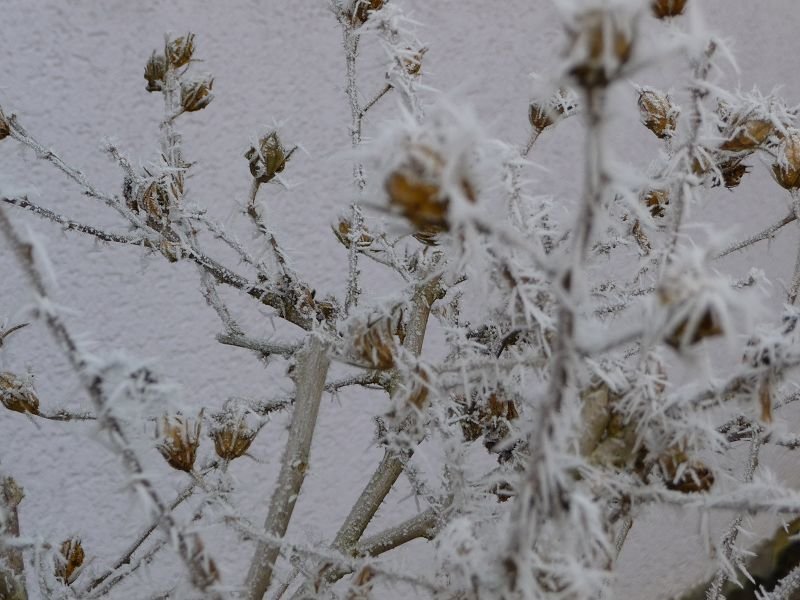 k-P1050791.JPG