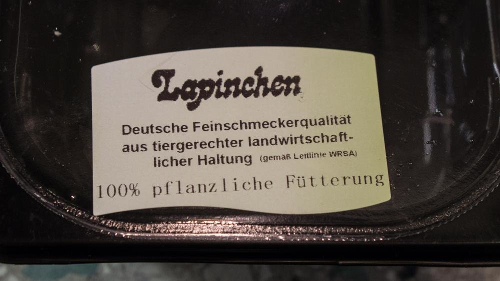 DSC08250-24. März 2017.jpg