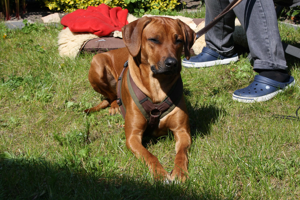 Ladies_League_Treffen_055 (1 von 1).jpg