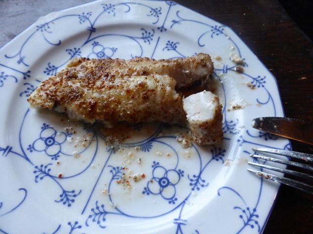 010.JPG