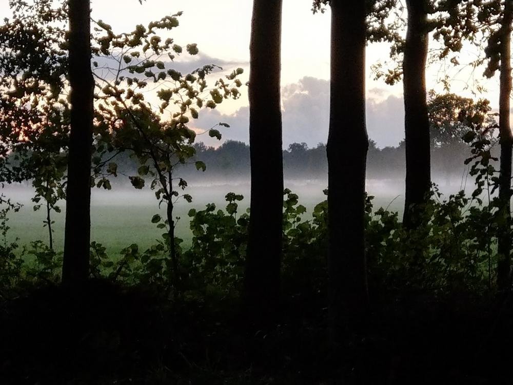 IMAG0078.jpg
