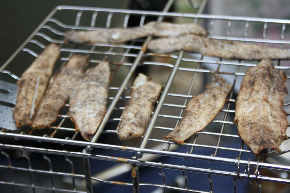 Himmelfahrt_Grillen_012 (1 von 1).jpg