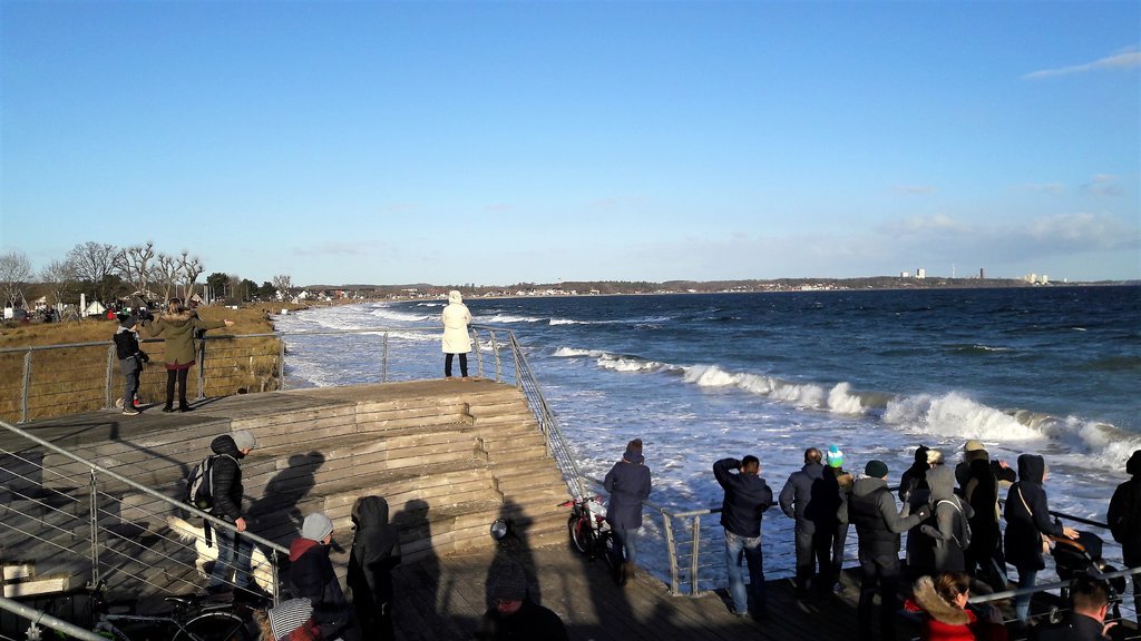 20190102_115314.jpg