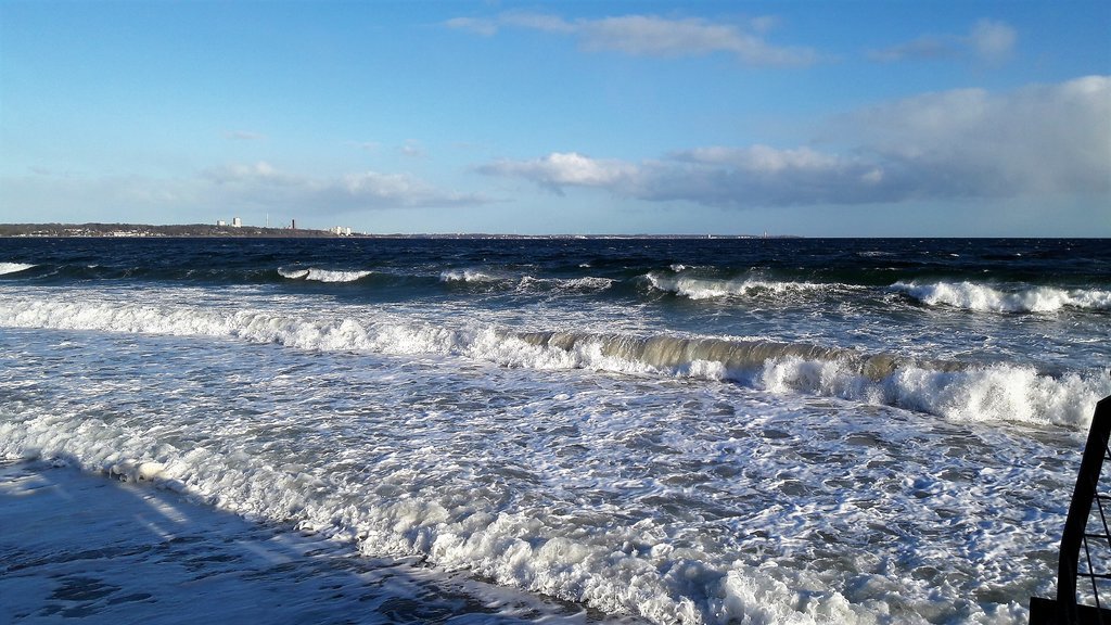 20190102_115406.jpg