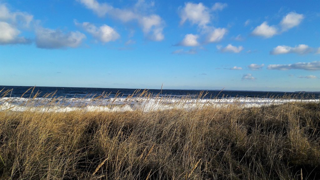 20190102_134512.jpg