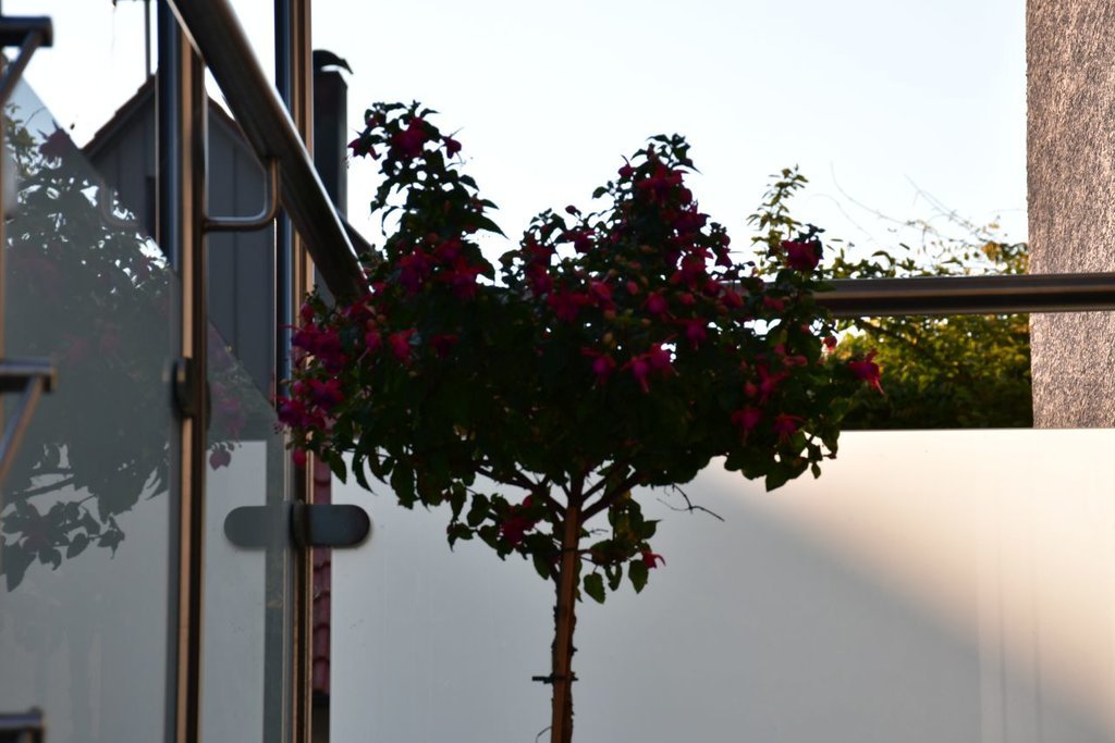 DSC_0620.JPG