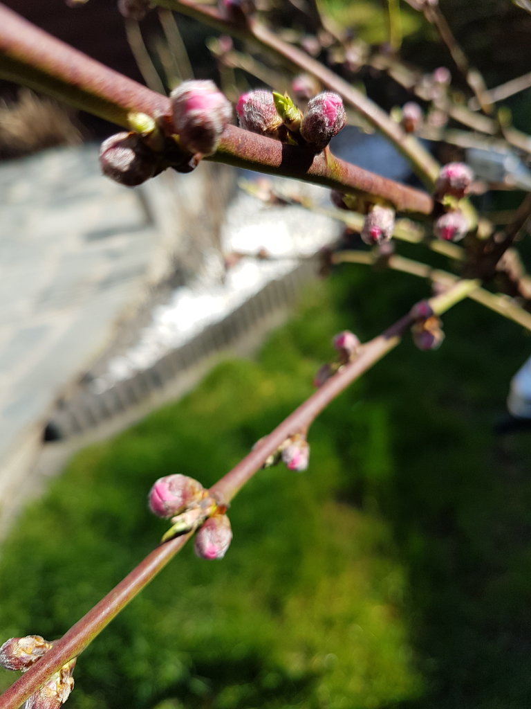 20190317_120454.jpg