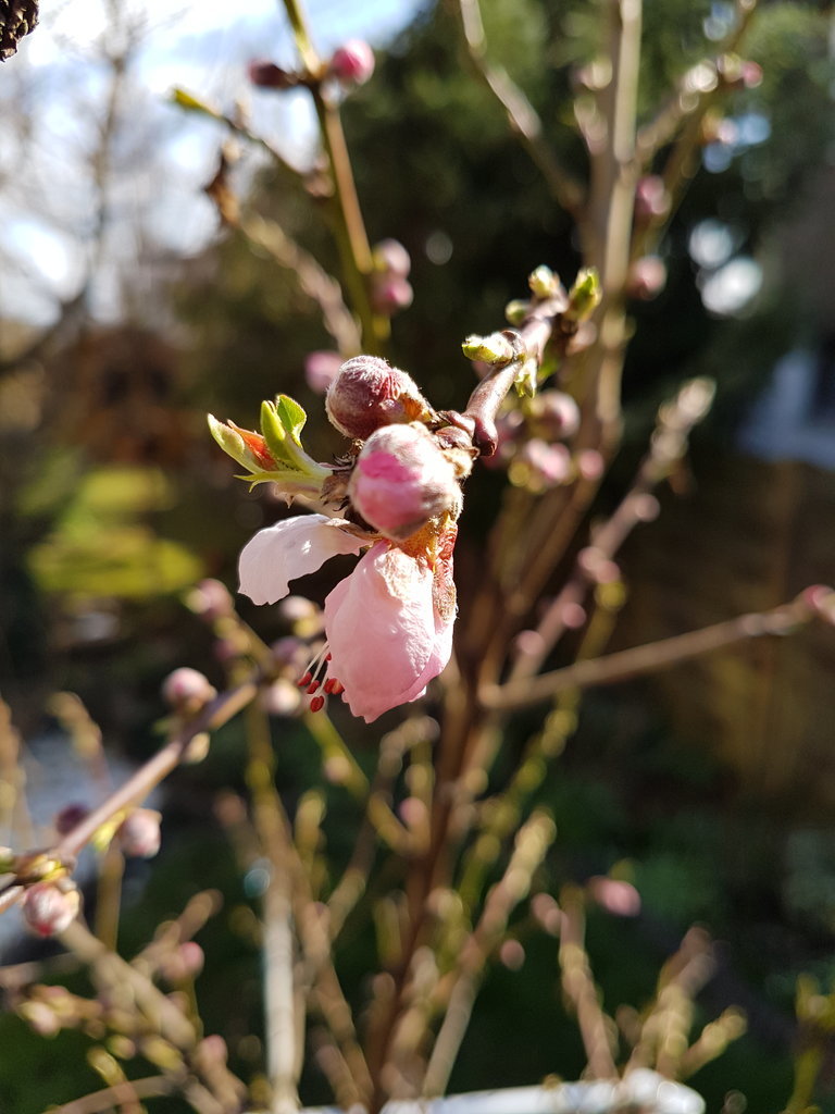 20190317_120510.jpg