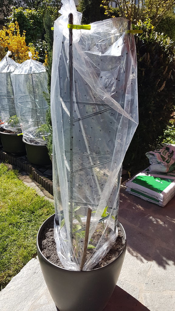20190420_151047.jpg