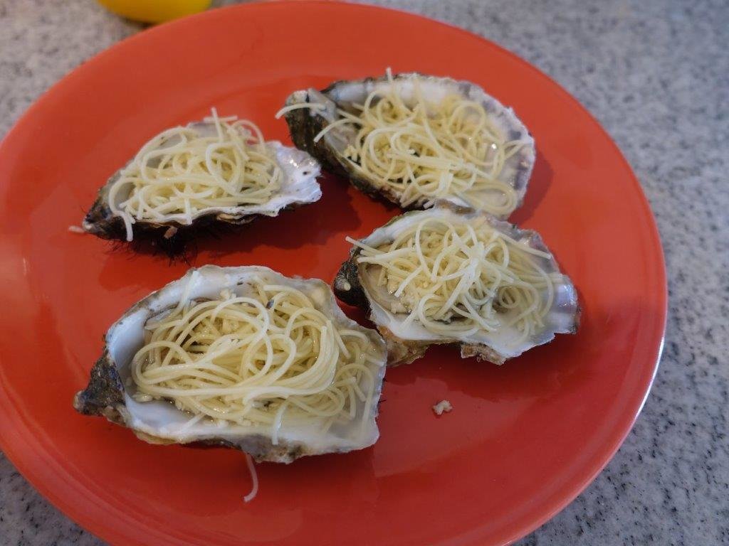 DSC02542.jpg