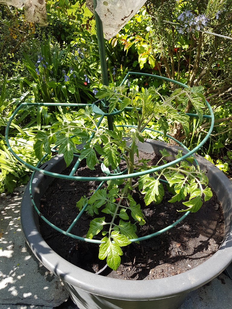 20190501_140041.jpg