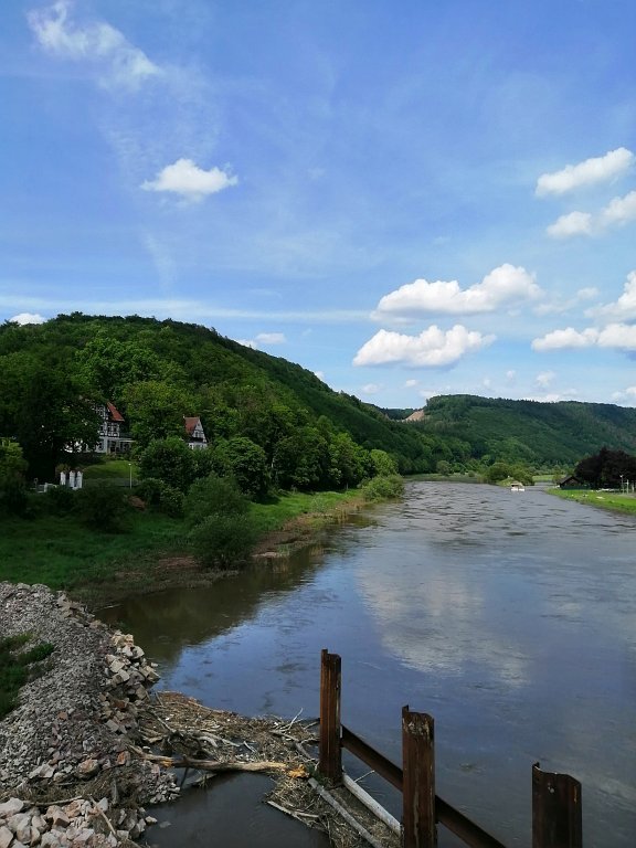 IMG_20190524_151545.jpg