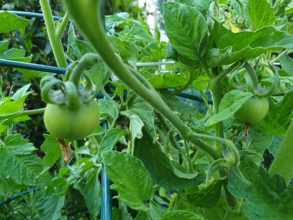 20190616_184426.jpg
