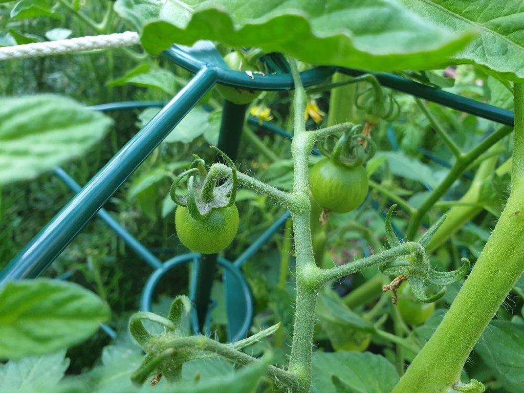 20190616_184419.jpg