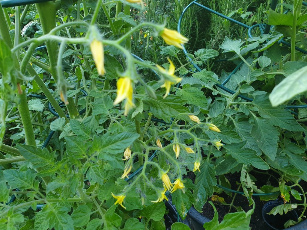 20190616_184412.jpg