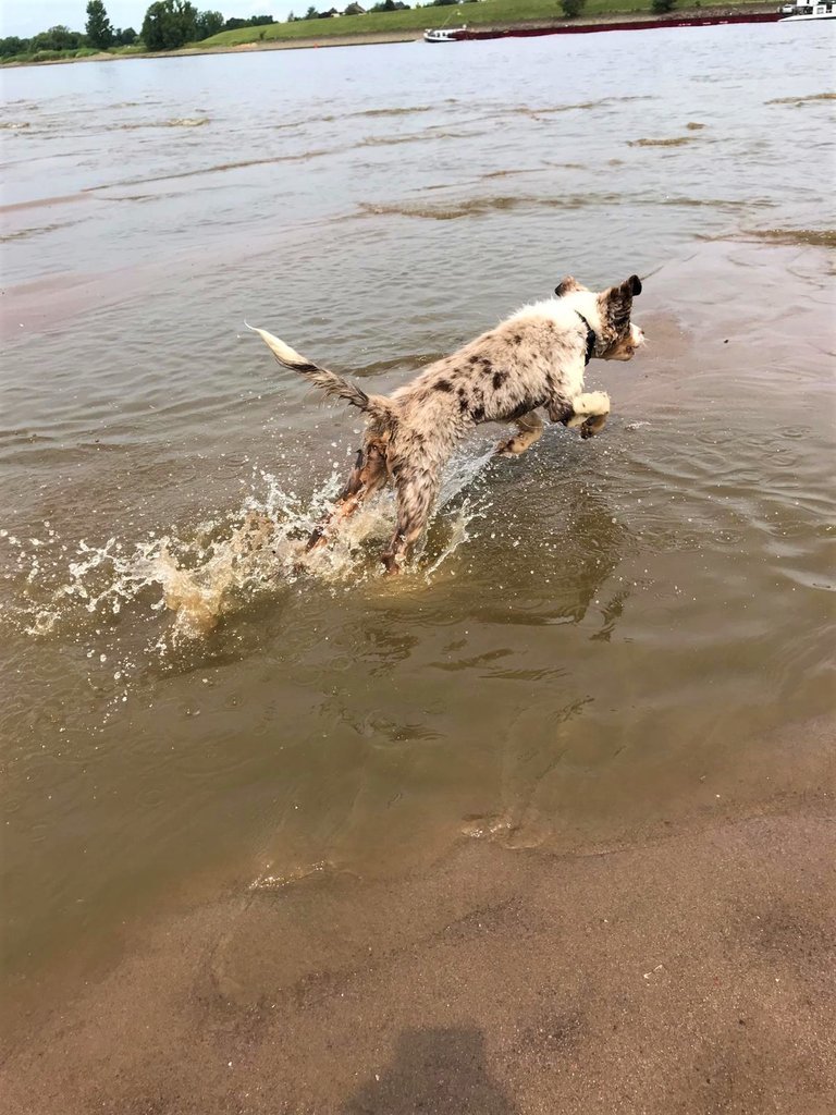 IMG-20190616-WA0015.jpg