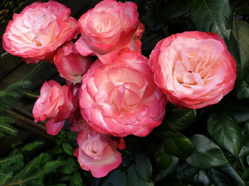 20190623_194420.jpg