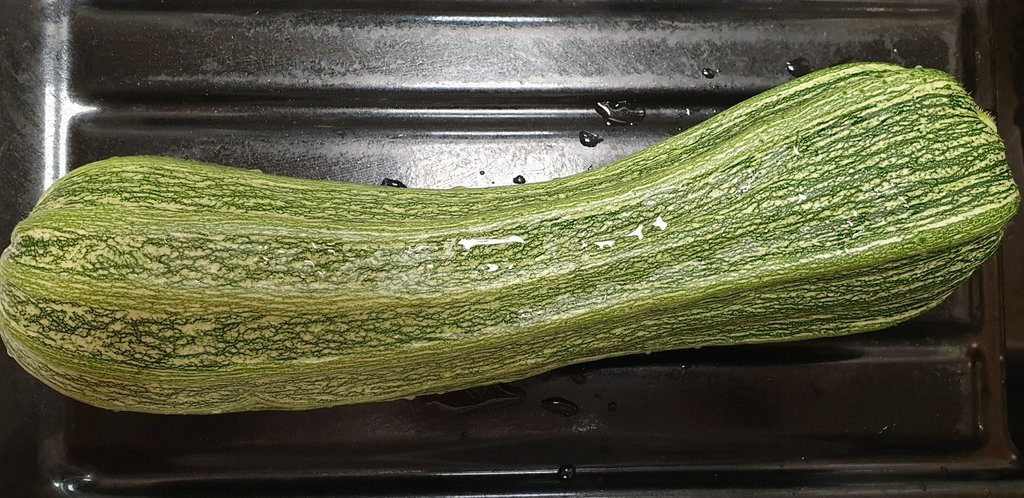 20190730_131521.jpg