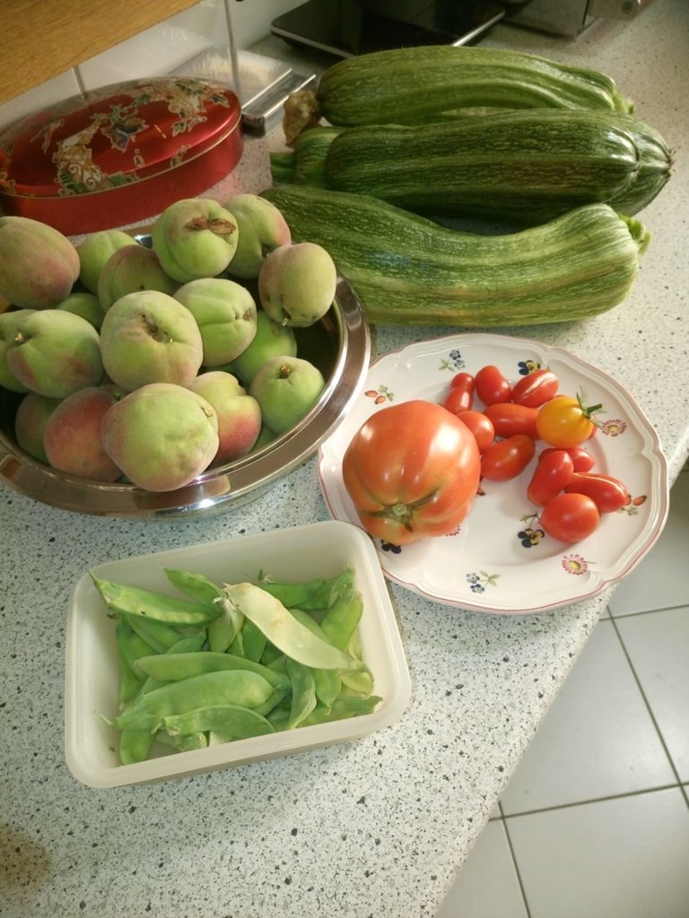 IMG-20190731-WA0000.jpg