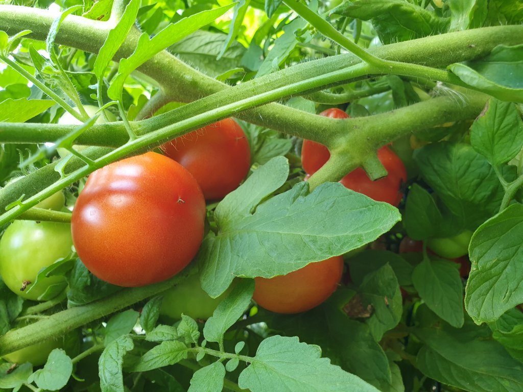 20190802_144715.jpg