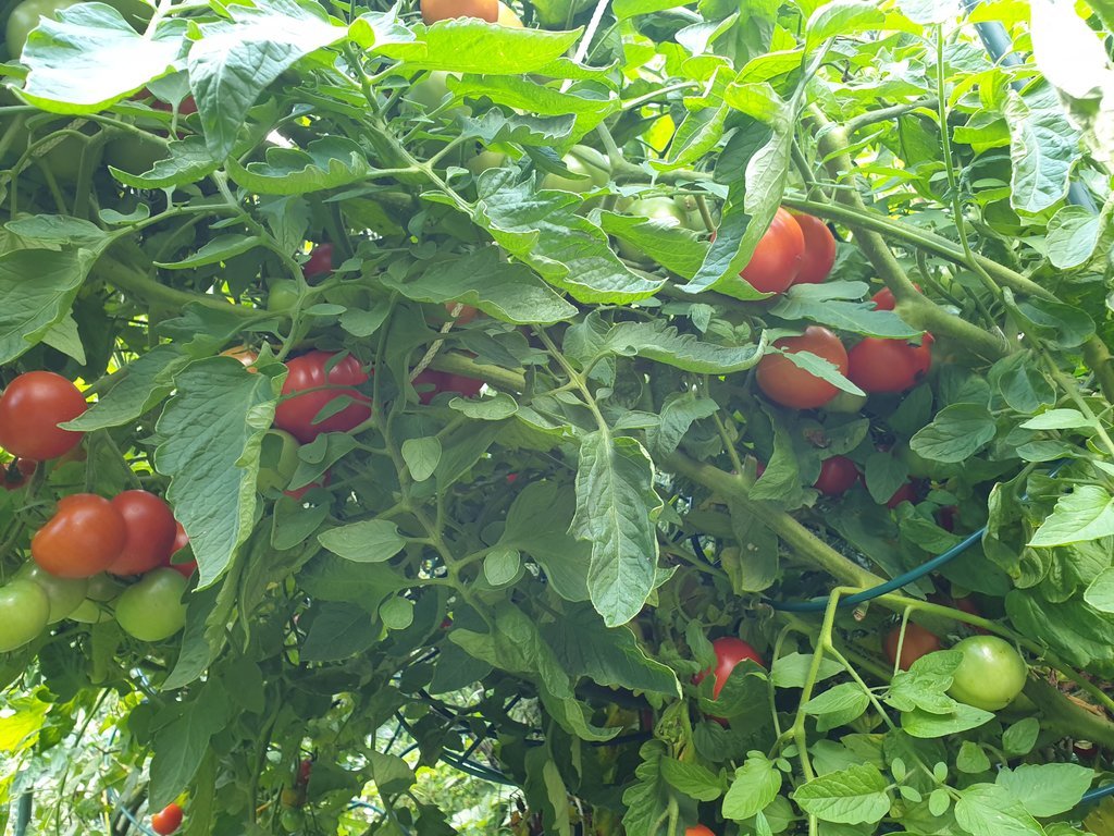 20190802_144711.jpg