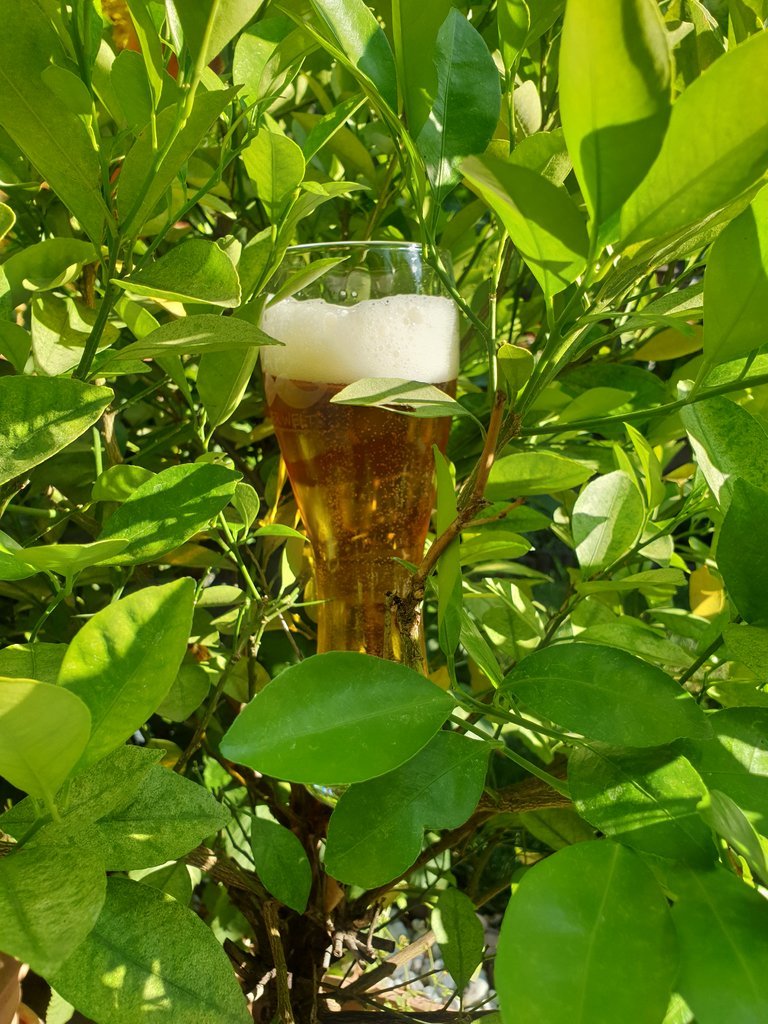20190804_174250.jpg