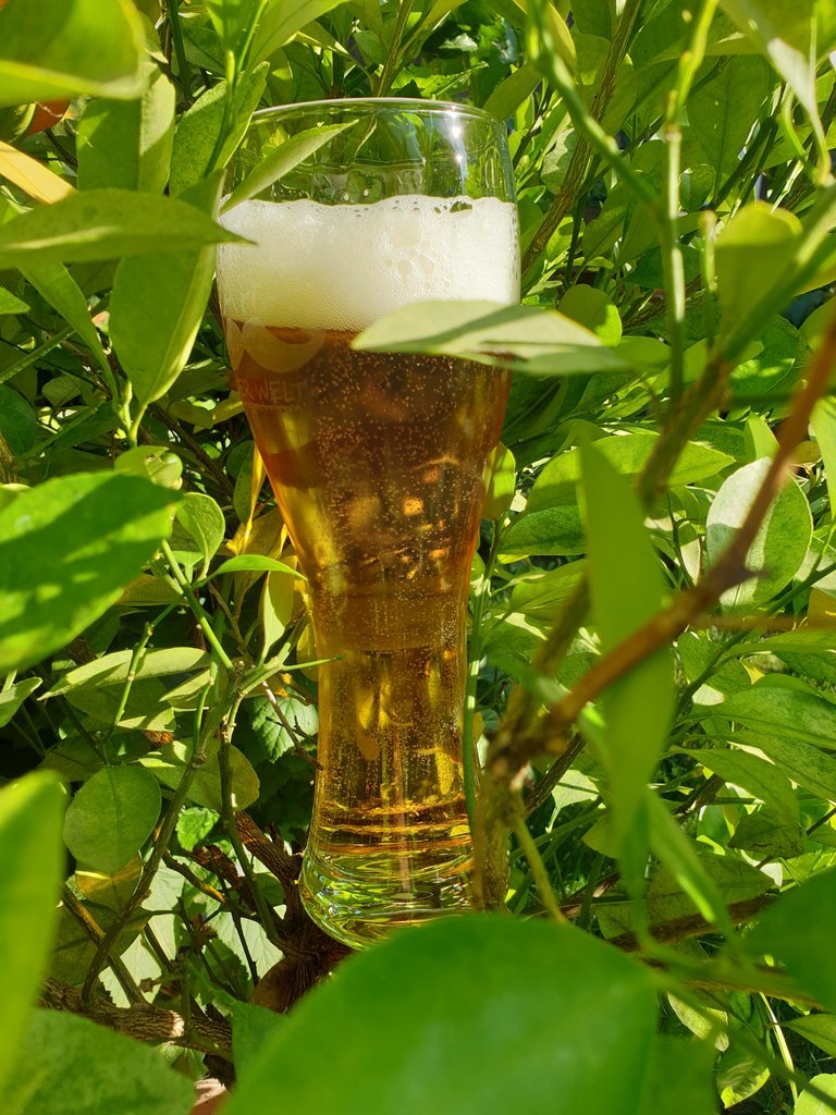 20190804_174256.jpg