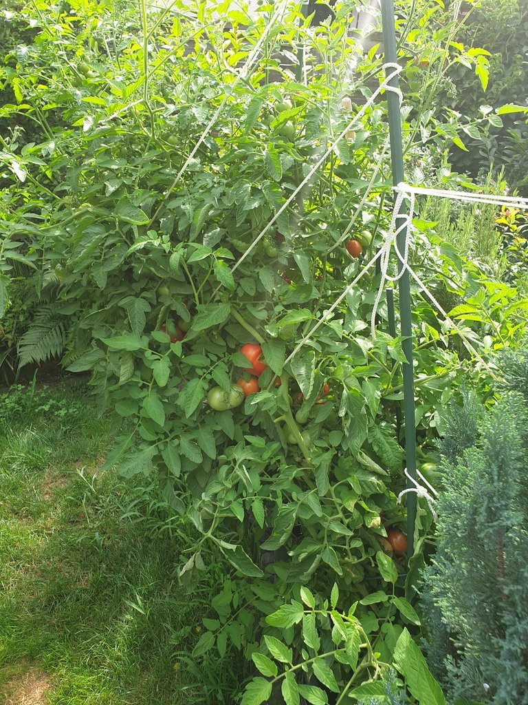 20190806_162007.jpg