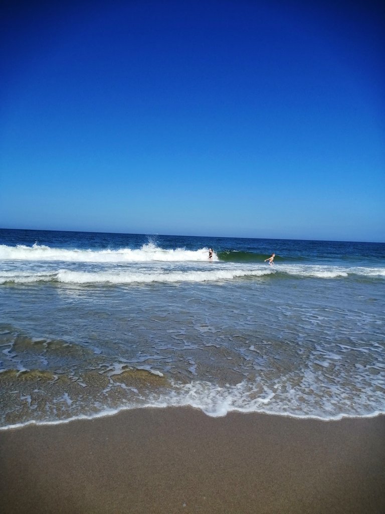 IMG_20190723_103130.jpg